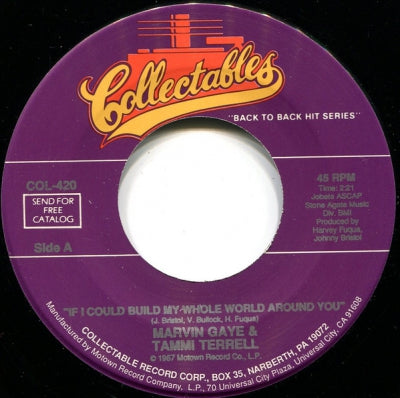 MARVIN GAYE & TAMMI TERRELL - If I Could Build My Whole World Around You / Ain't Nothing Like The Real Thing