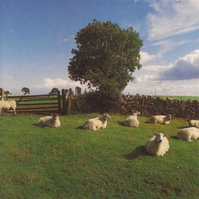 THE KLF - Chill Out