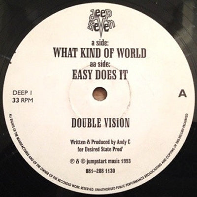 DOUBLE VISION - What Kind Of World