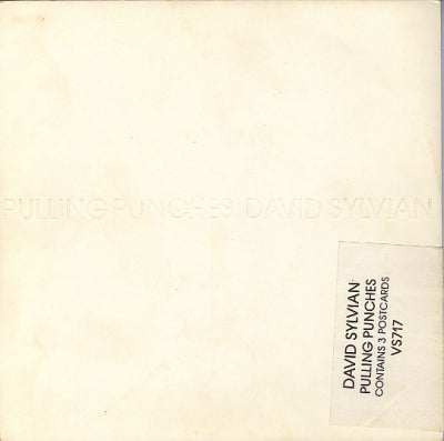 DAVID SYLVIAN - Pulling Punches