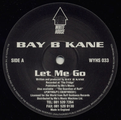 BAY B KANE - Let Me Go / Unfolding Perspective