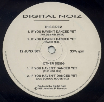 DIGITAL NOIZ - If You Haven't Danced Yet