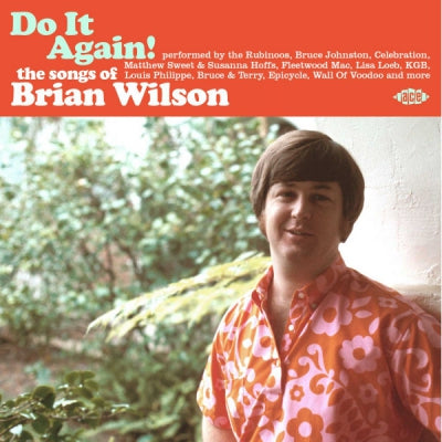 BRIAN WILSON - Do It Again! The Songs Of Brian Wilson