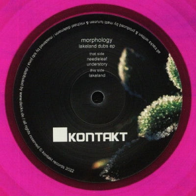 MORPHOLOGY - Lakeland Dubs EP
