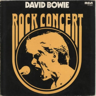 DAVID BOWIE - Rock Concert
