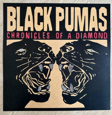 BLACK PUMAS - Chronicles Of A Diamond