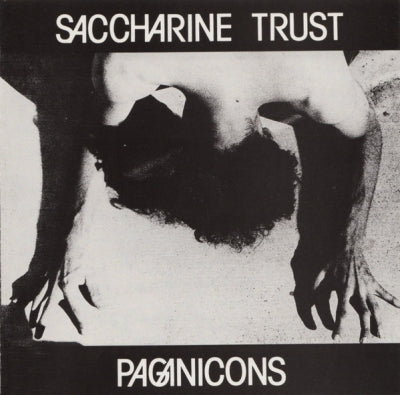 SACCHARINE TRUST - Pagan Icons