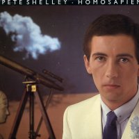PETE SHELLEY - Homosapien