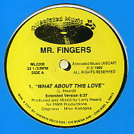 MR. FINGERS - What About This Love