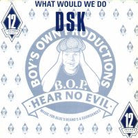 DSK - What Would We Do? / Read My Lips
