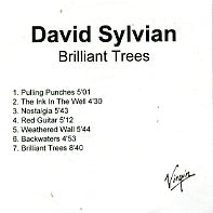DAVID SYLVIAN - Brilliant Trees