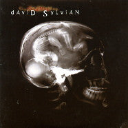 DAVID SYLVIAN - Godman