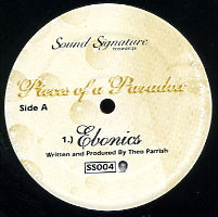 THEO PARRISH - Pieces Of A Paradox