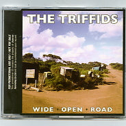 THE TRIFFIDS - Wide Open Road