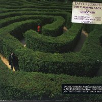 DAVID JOSEPH - You Can't Hide Your Love / Discover / No Turning Back