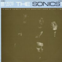 VARIOUS - Here Ain't The Sonics