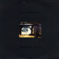 ROGER WATERS - Amused To Death