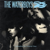 THE WATERBOYS - Unleashing The Tethered Ones