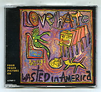 LOVE / HATE - Wasted In America