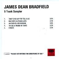 JAMES DEAN BRADFIELD - The Great Western - 5 Track Sampler