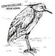 EDWYN COLLINS - Home Again / Searching For The Truth
