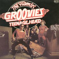 FLAMIN' GROOVIES - Teenage Head