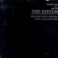 THE SYSTEM - You Are In My System