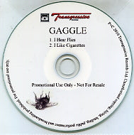GAGGLE - I Hear Flies