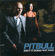 PITBULL - Shut It Down Feat. Akon