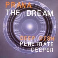 PRANA - The Dream (Skylark Remix)