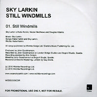 SKY LARKIN - Still Windows