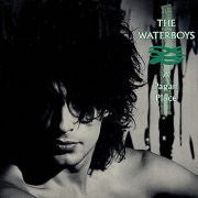 THE WATERBOYS - A Pagan Place