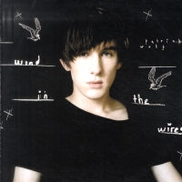 PATRICK WOLF - Wind In The Wires