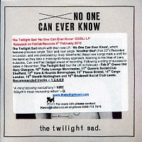 THE TWILIGHT SAD - No One Can Ever Know