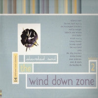 VARIOUS - The Wind Down Zone Volume 2