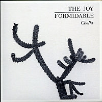 THE JOY FORMIDABLE - Cholla