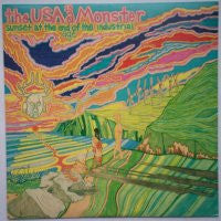 THE USA IS A MONSTER - Sunset At The End Of The Industrial Age
