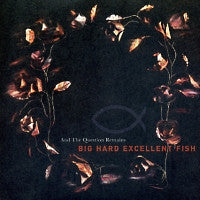 BIG HARD EXCELLENT FISH - And The Question Remains