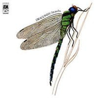 STRAWBS - Dragonfly