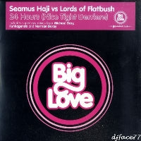 SEAMUS HAJI VS LORDS OF FLATBUSH - 24 Hours (Nice Tight Derriere)