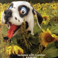 JACKDAW WITH CROWBAR - Barking