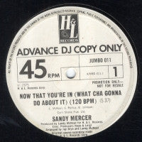 SANDY MERCER - Now That You're In (What Cah Gonna Do About It) / Work That Body