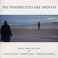 EDWYN COLLINS / CARWYN ELLIS / SEBASTIAN LEWSLEY - The Possibilities Are Endless