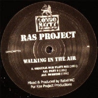 RAS PROJECT - Walking In The Air