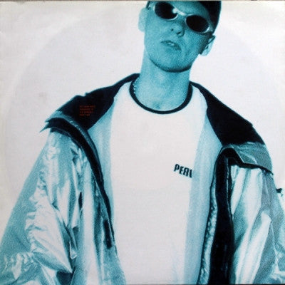 PET SHOP BOYS - Paninaro '95 Remixes Part Two