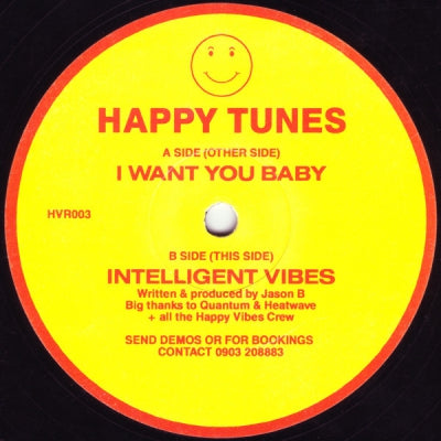 HAPPY TUNES - I Want You Baby / Intelligent Vibes