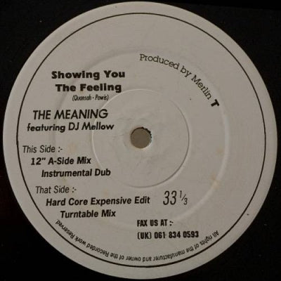 THE MEANING FEATURING DJ MELLOW - Showing You The Feeling
