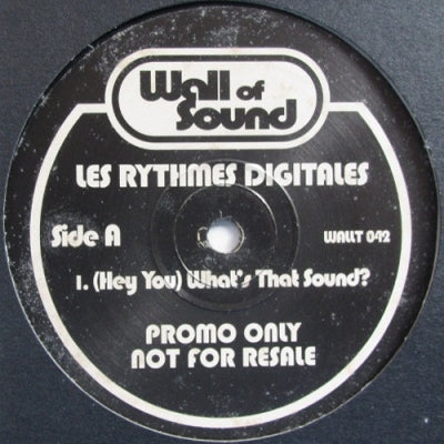 LES RHYTHMES DIGITALES - (Hey You) What's That Sound ? / Energy