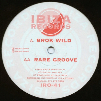 POTENTIAL BAD BOY - Brok Wild / Rare Groove
