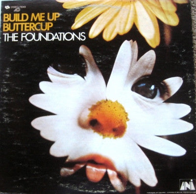 THE FOUNDATIONS - Build Me Up Buttercup